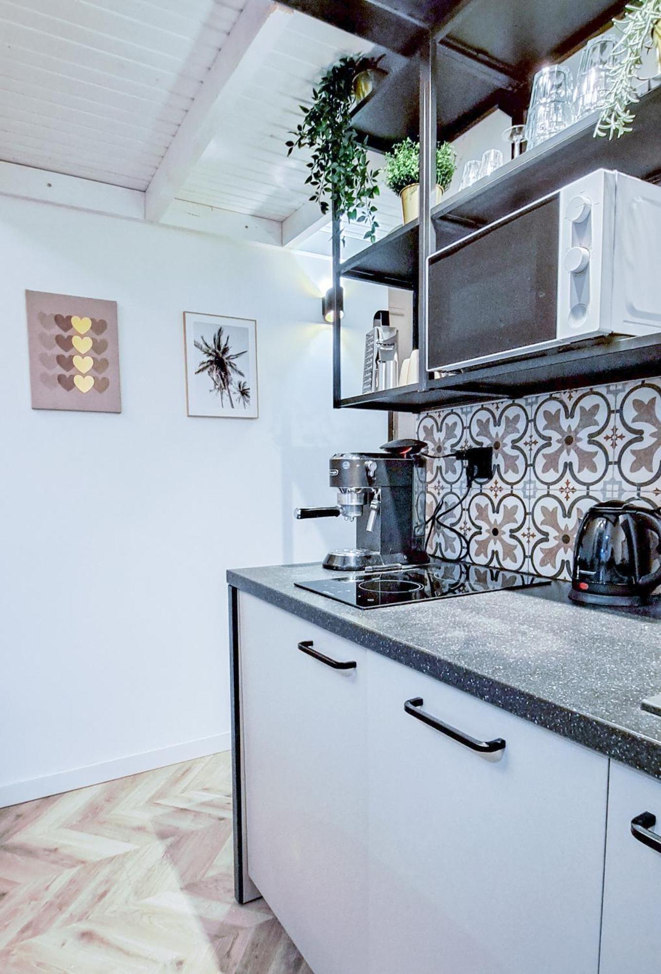 Lion Apartments - Platinium Krasków Εξωτερικό φωτογραφία